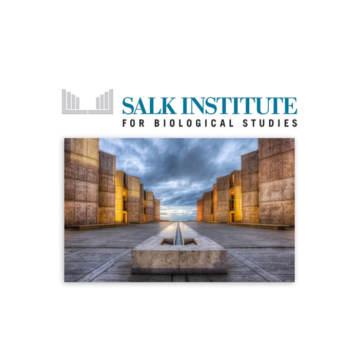 The Salk Institute