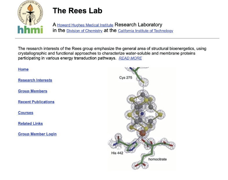 Member Image
