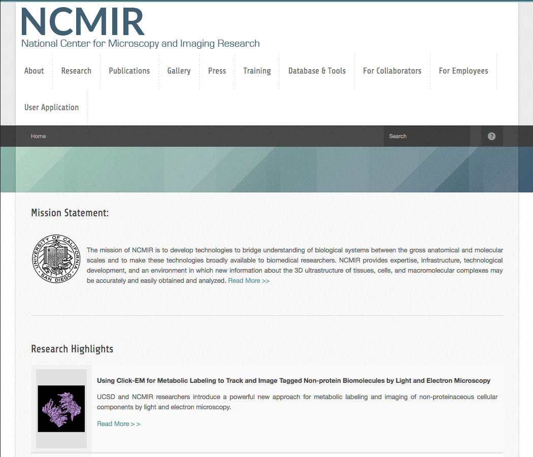 Member Image