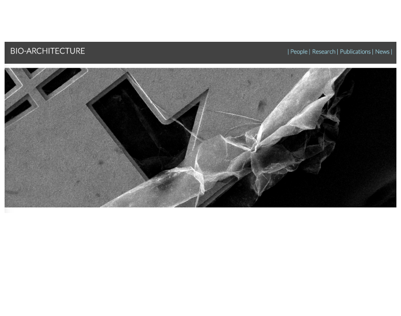 Member Image