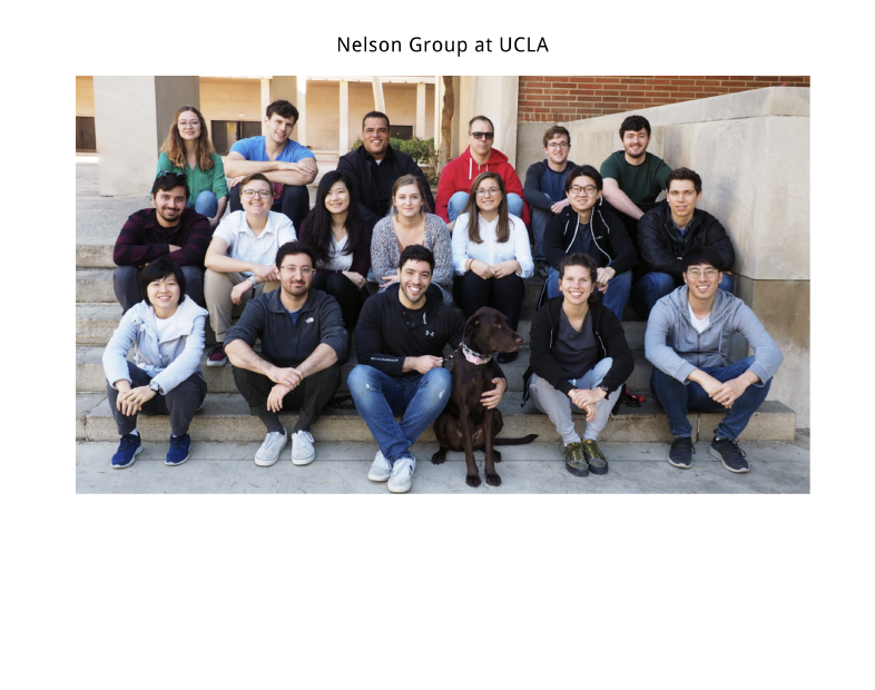 Member Image