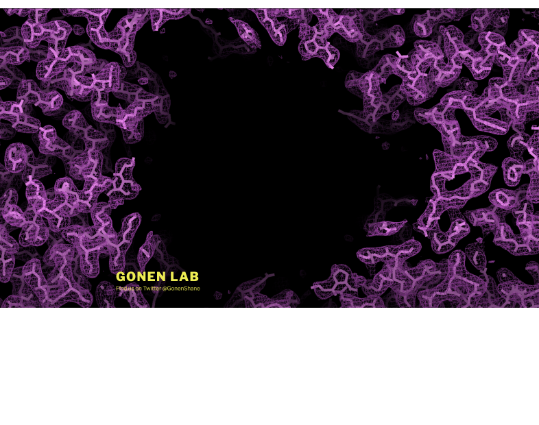 Member Image