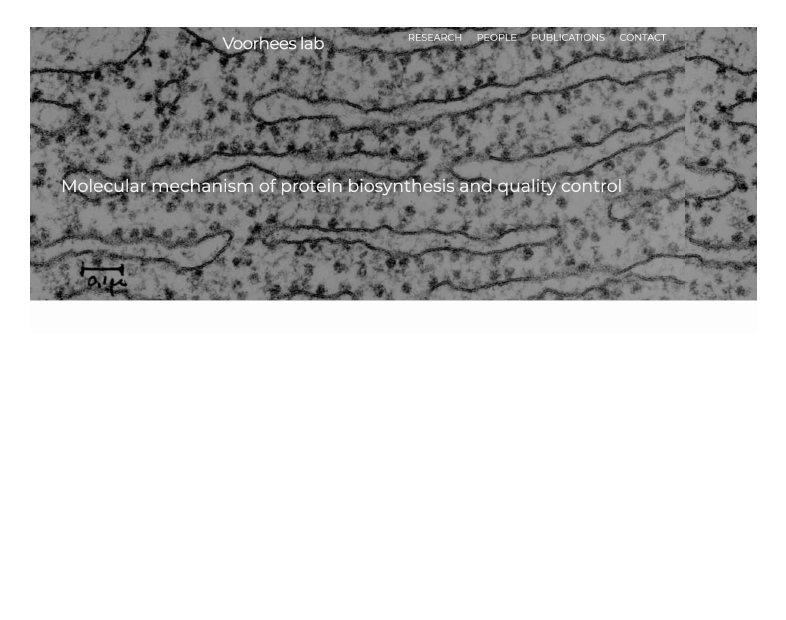 Member Image